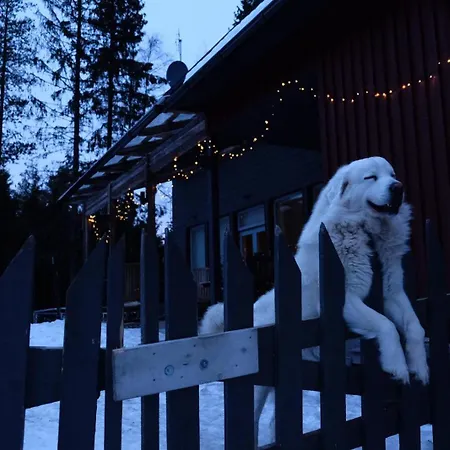 Laplandbike Arctic Circle