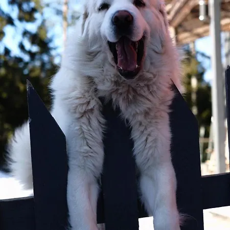 Huoneisto Laplandbike Arctic Circle