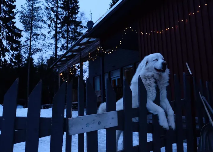 北极圈拉普兰单车公寓