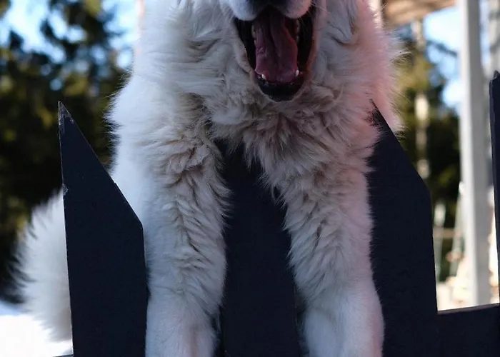 公寓 北极圈拉普兰单车公寓