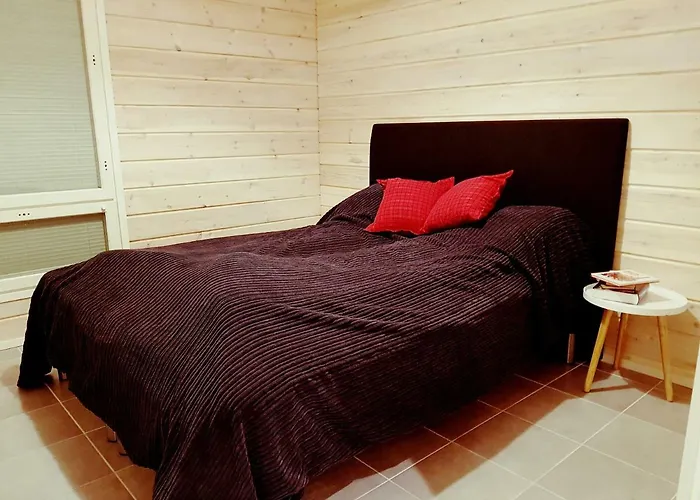 公寓 北极圈拉普兰单车公寓 罗瓦涅米